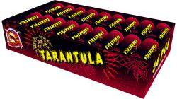 Tarantula 36 sztuk