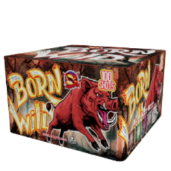 Born Wild 100 strzaw 25 mm